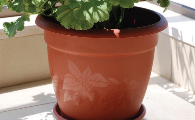 SahroDecorative-Product-2