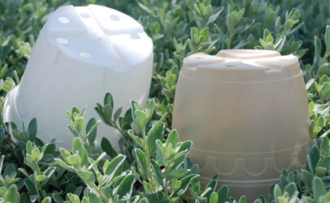 BiodegradablePot-Product-2