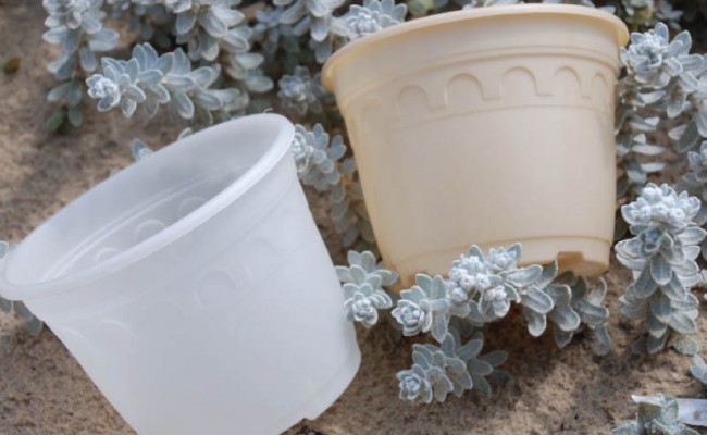 BiodegradablePot-Product-3