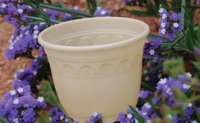 BiodegradablePot-Product-4