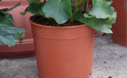 HighContainer-Product-2