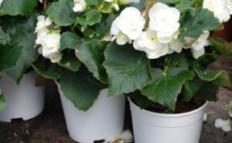 HighContainer-Product-3