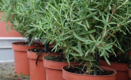 HighContainer-Product-4