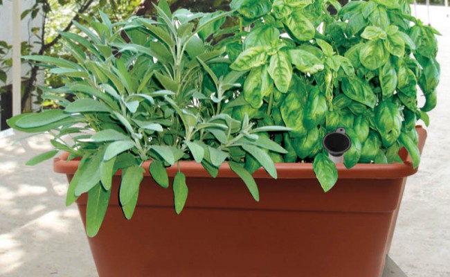 HydrophonicBoxSet-Product-1