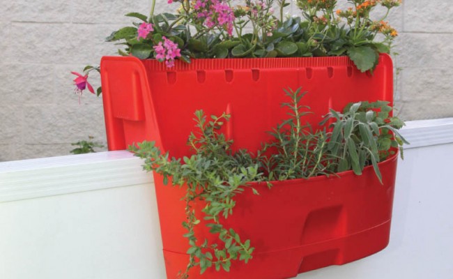 Kamelia-K-001-Product-1