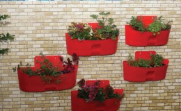 Kamelia-KS-003-Product-3