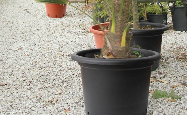 LargePlantPot-Product-1