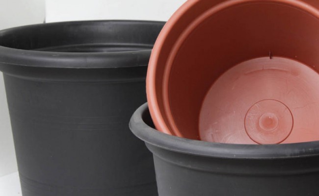 LargePlantPot-Product-2