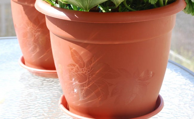 Saucers-Hangers-Product-4