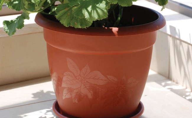 Saucers-Hangers-Product-5